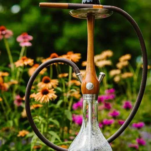 Hookah Wookah disponible para renta en Cancún